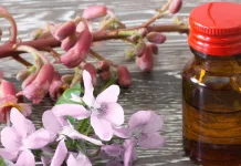 Bachblüten – Auf dem Weg zur ganzheitlichen Gesundheit Bachblüten