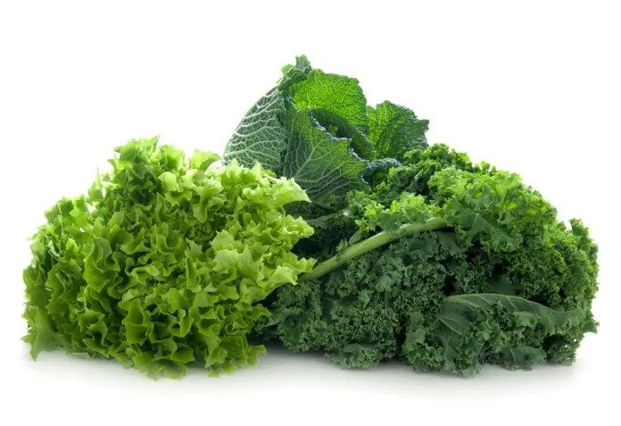 Vitamin K2 Vitamin K2